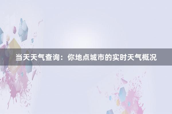 当天天气查询：你地点城市的实时天气概况